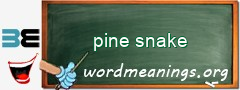 WordMeaning blackboard for pine snake